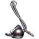 Dyson 戴森 Big Ball 吸尘器 Animal版