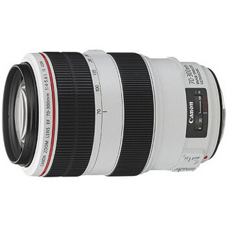 Canon 佳能 EF 70-300mm F/4-5.6L IS USM 远摄变焦镜头 佳能EF卡口 67mm