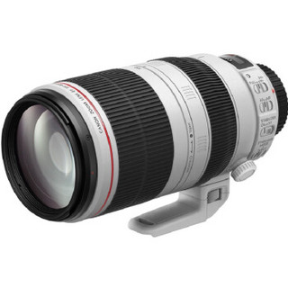 Canon 佳能 EF 100-400mm F4.5-5.6L IS II USM 远摄变焦镜头 佳能EF卡口 77mm