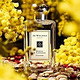 JO MALONE 祖·玛珑 含羞草与豆蔻 古龙淡香水 100ml