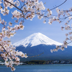 日本 出游必备手册