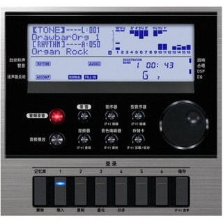 CASIO 卡西欧 考级专用61键电子琴 CTK-7300 