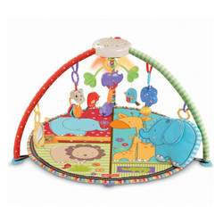 Fisher-Price 费雪 T6339 声光健身器