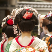 含元旦/樱花季班期：北京-日本多地 4-30天往返含税机票