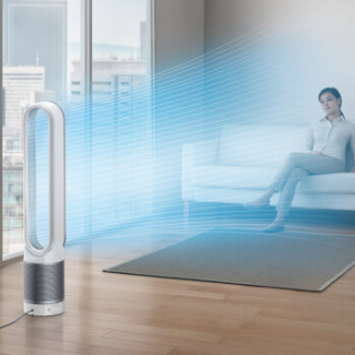 Dyson 戴森 TP00 空气净化风扇