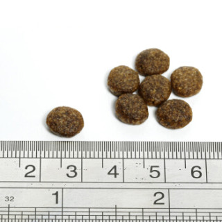 FISH4DOGS 海洋之星 中小型成犬粮 1500g