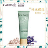 CAUDALIE 欧缇丽 洁颜清浊面膜 75ml 