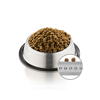 Natural Balance 天衡宝 低敏系列 鸡肉豌豆配方 成猫粮 4.54kg