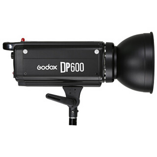 Godox 神牛 DP600 摄影补光灯