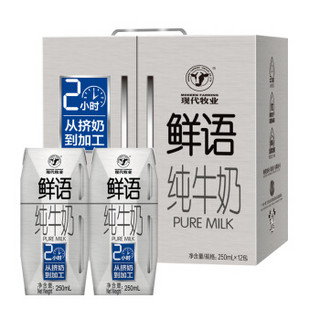 MODERN FARMING 现代牧业 鲜语 纯牛奶 250ml*12盒