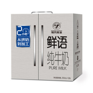 MODERN FARMING 现代牧业 鲜语 纯牛奶 250ml*12盒