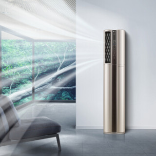 LG 正2匹 1级能效全直流变频 空气净化 立柜式冷暖空调 LPNM5011AG(金色)KFR-50LW/M11GBp