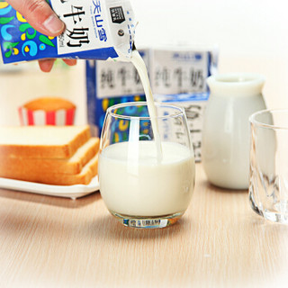 维维 天山雪 纯牛奶 250ml*16盒