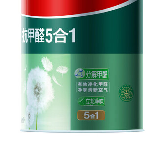 立邦 抗甲醛净味五合一 内墙面漆 5L