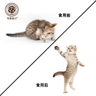 Chrisdine 可莉丝汀 三文鱼 成猫粮 2kg