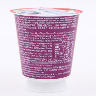 Zott 卓德 风味发酵乳 低脂森林水果酸奶 120g