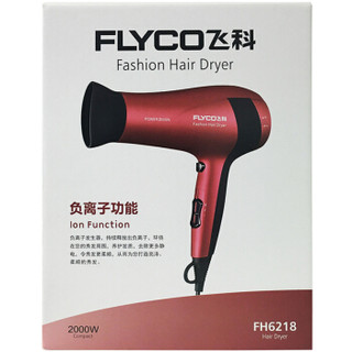 FLYCO/飞科 FH6618 电吹风