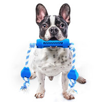 hoopet 华元宠具 狗狗磨牙棒