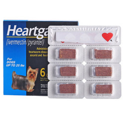 Heartgard 犬心保 宠物驱虫药 11kg以内小型犬 6块/盒 *2件