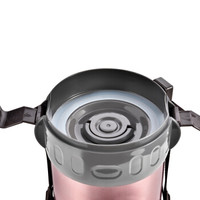 TAFUCO 泰福高 304不锈钢保温饭盒 2.3L