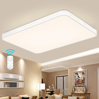 -lighting 雷士 NVC Lighting照明 EXXN1002 LED吸顶灯