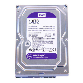 Western Digital 西部数据 紫盘系列 3.5英寸监控级硬盘 1TB 64MB(5400rpm、PMR)WD10EJRX