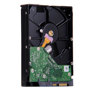 Western Digital 西部数据 紫盘系列 3.5英寸监控级硬盘 1TB 64MB(5400rpm、PMR)WD10EJRX