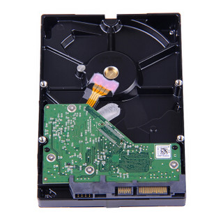 Western Digital 西部数据 紫盘系列 3.5英寸监控级硬盘 1TB 64MB(5400rpm、PMR)WD10EJRX