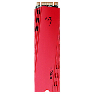 LITEON 建兴 睿速 T11 M.2 NVMe 固态硬盘 480G-512G