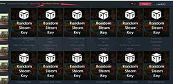 steam随机赠送KEY