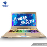 MACHENIKE 机械师 F117 15.6英寸游戏笔记本电脑 （i7-7700HQ 8G 1TB GTX1050Ti 4G RGB键盘）