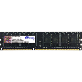 Team 十铨 DDR3 1600 4G 台式机内存条