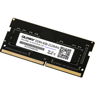 光威(Gloway) 战将 DDR4 2133频 笔记本内存 4G 2133