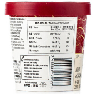 Häagen·Dazs 哈根达斯 蓝莓口味 冰淇淋