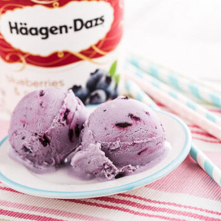 Häagen·Dazs 哈根达斯 蓝莓口味 冰淇淋