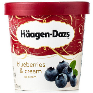 Häagen·Dazs 哈根达斯 蓝莓口味 冰淇淋