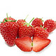  今日10点：黄河畔 昌平红颜草莓 350g *2件　
