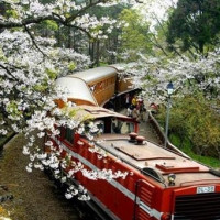 限PC端：春秋航空 石家庄-台湾多地 8天7晚跟团游 （台北+高雄+台东+花莲）