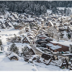 日本名古屋-白川乡+飞驒古川/平汤温泉+高山 1日跟团游