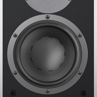 Dynaudio 丹拿 Emit M20 HiFi音箱 缎黑色