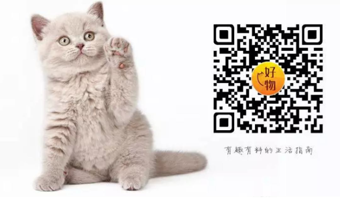 包包全球比个价 LV香奈儿到底哪国买最划算?
