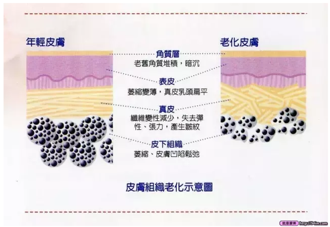 抗衰老的新思路 和我用过的护肤推荐