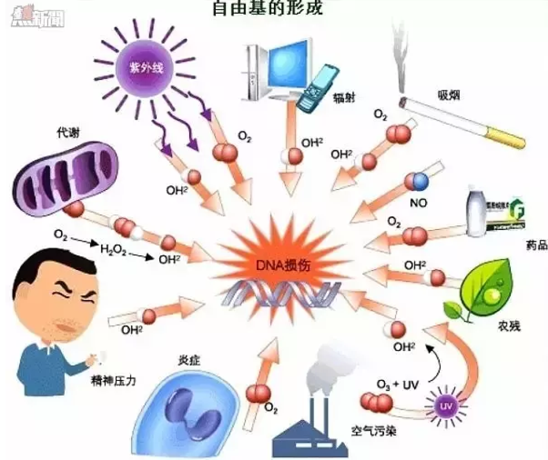 抗衰老的新思路 和我用过的护肤推荐