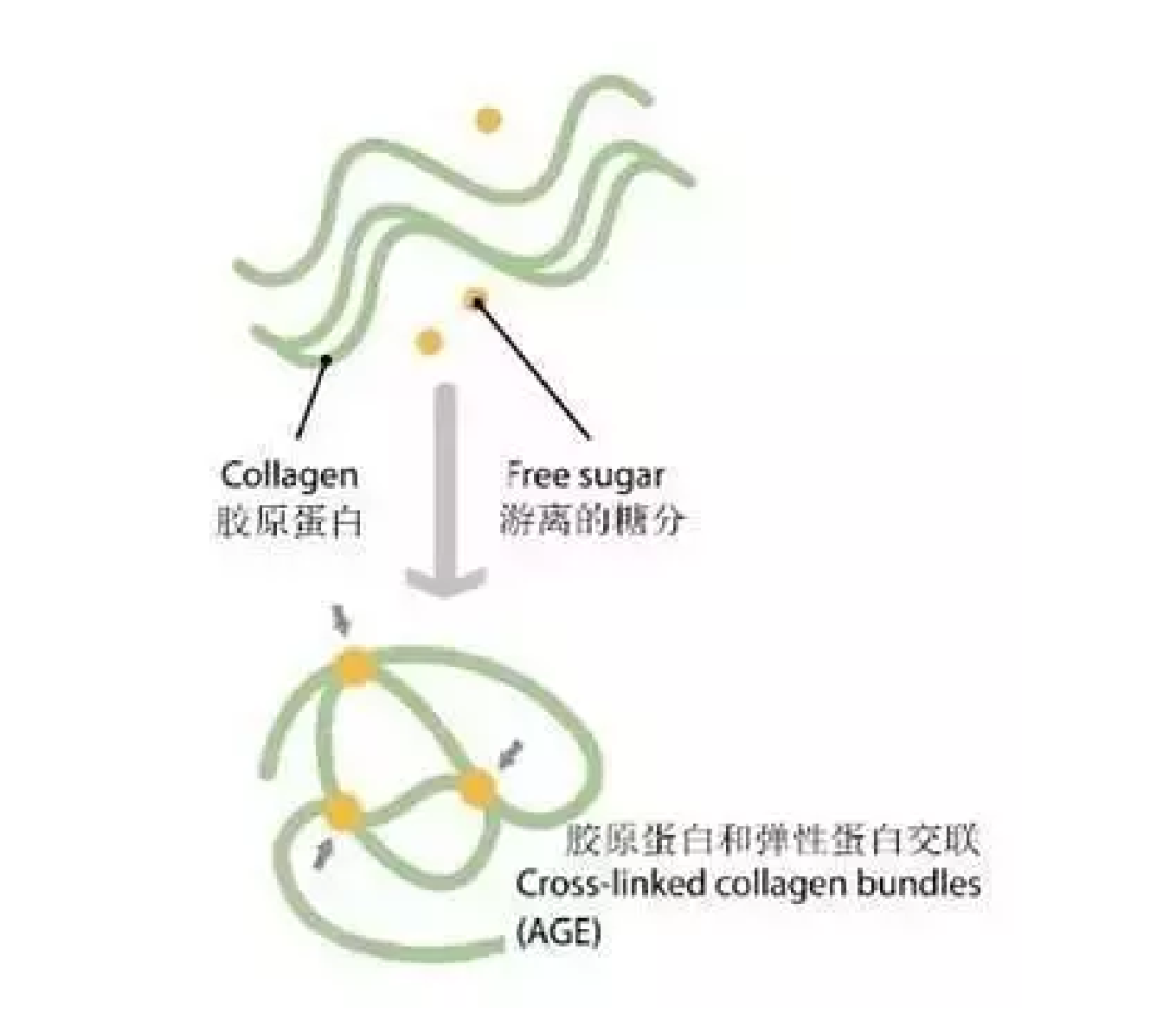 抗衰老的新思路 和我用过的护肤推荐