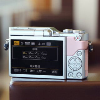 Panasonic 松下 Lumix DC-GF9 无反相机