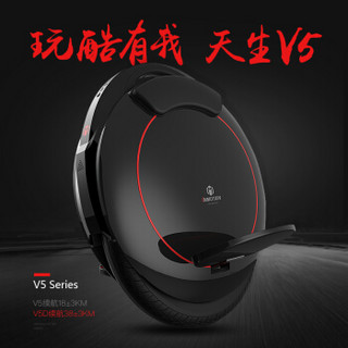 INMOTION 乐行天下 V5 单轮平衡车 黑色 独轮V5+保护套 18m续航20km