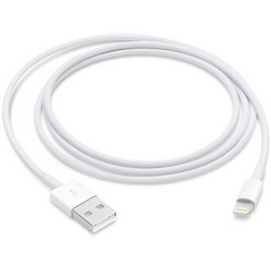 Apple 苹果 MD818FE/A Lightning to USB 1米