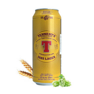 替牌 TENNENT ‘S 替牌 啤酒 500ml 24听