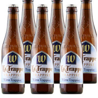 La Trappe 荷兰修道院 康文教堂 白啤 300ml 6瓶
