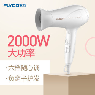 FLYCO 飞科 FH6232 电吹风